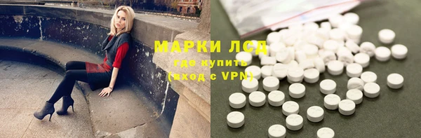 spice Лагань