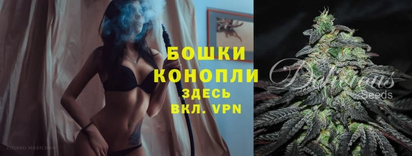spice Лагань