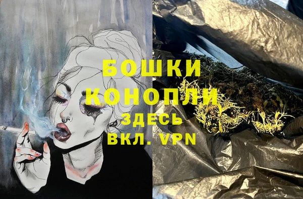 spice Лагань