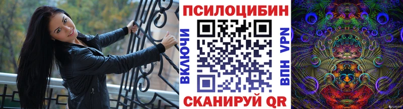 Галлюциногенные грибы Psilocybine cubensis Ахтырский